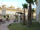 Communal gardens